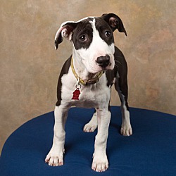 Photo of Kallie
