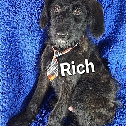 Photo of Rich