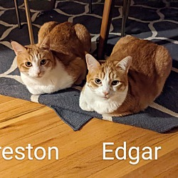 Photo of Edgar and Preston