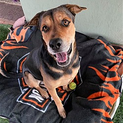 Thumbnail photo of Buddy #1