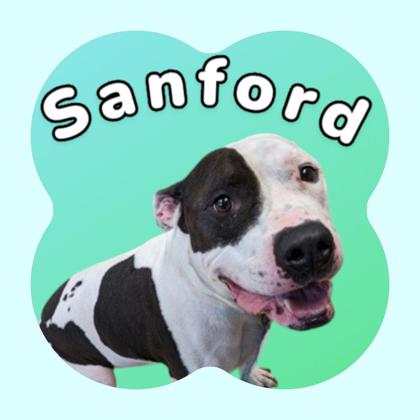 Photo of Sanford