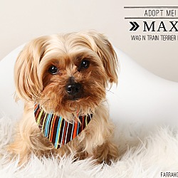 Thumbnail photo of Max II #1
