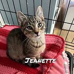 Photo of Jeanette