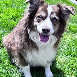 Photo of Sawyer