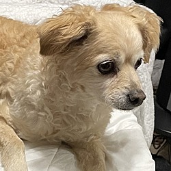 Photo of Molly 