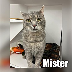Thumbnail photo of Mister #1