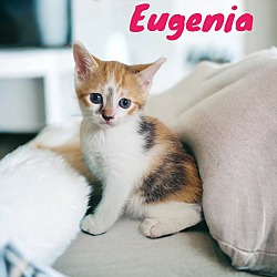 Photo of Eugenia