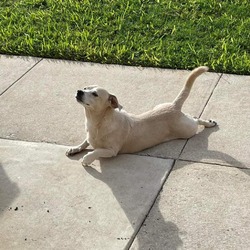 Photo of Max PD