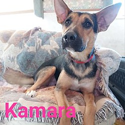 Thumbnail photo of Kamara #4