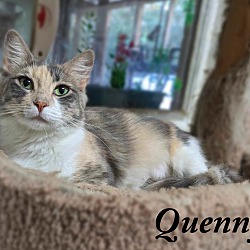 Thumbnail photo of Quenny #4