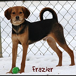 Thumbnail photo of Frazier #3