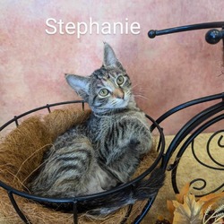 Thumbnail photo of Stephanie #1