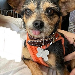 Photo of WILLY