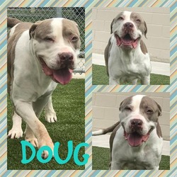 Photo of DOUG