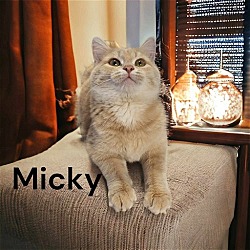 Thumbnail photo of Mickey #2