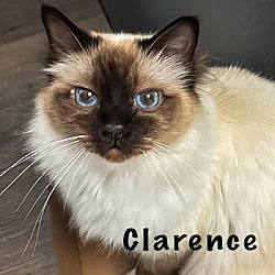 Thumbnail photo of Clarence (Alabama) #1