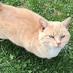 Photo of Mazy May