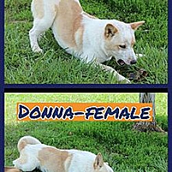 Thumbnail photo of Donna #3