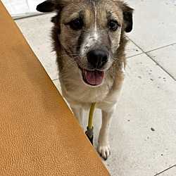 Photo of Mile(HA)