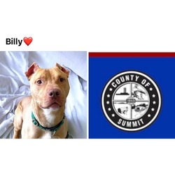 Photo of BILLY