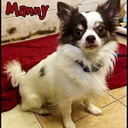 Thumbnail photo of Manny #2