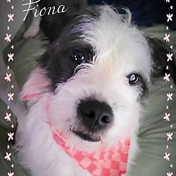 Thumbnail photo of Fiona #1