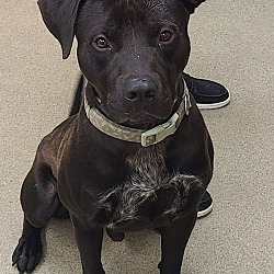 Photo of Drogo