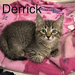 Photo of Derrick th