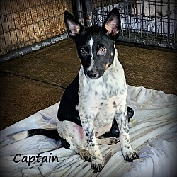 Thumbnail photo of Captain #2