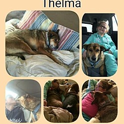 Thumbnail photo of Thelma #2