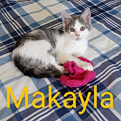 Thumbnail photo of Makayla #2