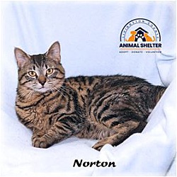 Photo of Norton