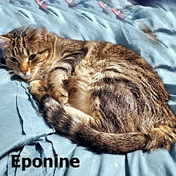 Photo of Eponine
