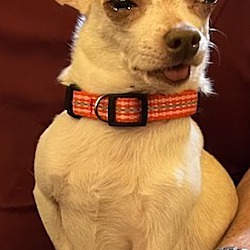 Photo of REGGIE
