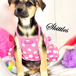 Thumbnail photo of Skittles ~ meet me! #1