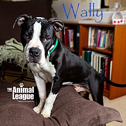 Photo of Wally