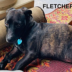 Photo of Fletcher