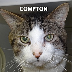 Thumbnail photo of Compton #1