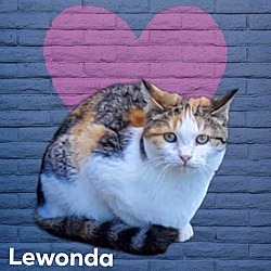 Photo of Lewonda