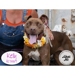 Photo of KELLY