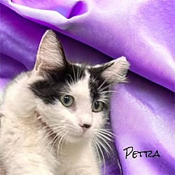 Thumbnail photo of Petra #4
