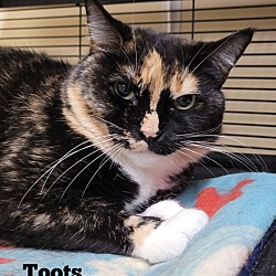 Photo of Toots