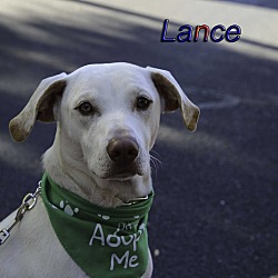 Thumbnail photo of Lance #1