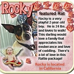 Thumbnail photo of Rocky #1