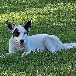 Photo of Blaine