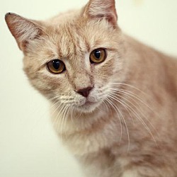 Photo of Oliver