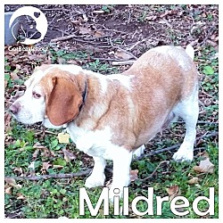 Thumbnail photo of Mildred #1