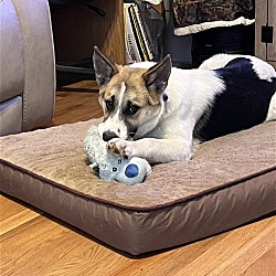 Photo of Leddy