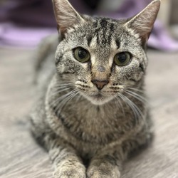 Photo of Zelda