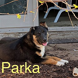 Thumbnail photo of Parka #4